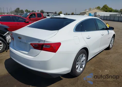 2024 Chevrolet Malibu Fwd 1Lt z USA, uszkodzony, nr VIN 1G1ZD5ST1RF183086